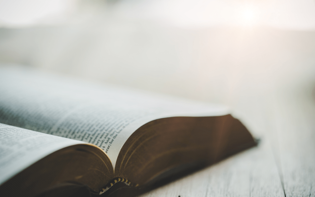 peachtree baptist church in senoia